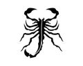 Scorpion Logo Template Vetor illustration