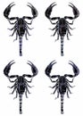 Scorpions are predatory arachnids of the order Scorpiones.