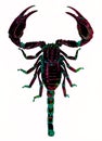 Scorpions are predatory arachnids of the order Scorpiones.