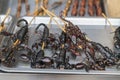 Scorpions on a stick