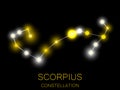 Scorpius constellation. Bright yellow stars in the night sky. A cluster of stars in deep space, the universe. Vector illustration