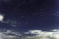 Scorpius constellation, Cluster of stars, Scorpion Constellation