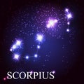 Scorpius zodiac sign of the beautiful bright stars