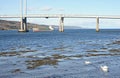 Scot Ranger coming into Port at Inverness. Royalty Free Stock Photo