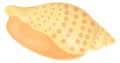 Scotch bennet shell cartoon icon. Beach seashell Royalty Free Stock Photo