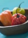 Scotch Bonnet Chilies In a Wooden Dish