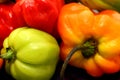 Scotch Bonnet Peppers or chillies still life photograph Royalty Free Stock Photo