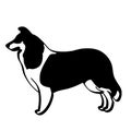 Scotch collie dog vector Hand drawn, Vector, Eps, Logo, Icon, crafteroks, silhouette Illustration for different uses