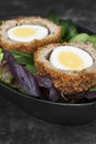 Scotch egg halved on lettuce leaves in a black dish. Royalty Free Stock Photo