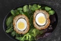 Scotch egg halved on lettuce leaves in a black dish. Royalty Free Stock Photo