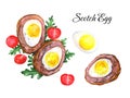 Scotch Egg illustration watercolor Royalty Free Stock Photo