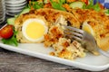 Scotch Egg Quiche With Salad Royalty Free Stock Photo