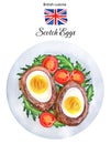 Scotch Egg on white plate illustration watercolor Royalty Free Stock Photo