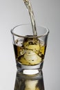 Scotch on the rocks Royalty Free Stock Photo