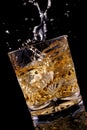 Scotch on the rocks Royalty Free Stock Photo