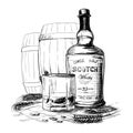 Scotch whiskey bottle, glass and casks with some barley ears and grains. Black and white ink style drawing isolated on