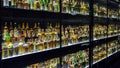 The Scotch Whisky Experience Center