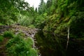 Scotland forests and river, stones