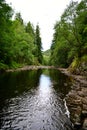 Scotland forests and river, stones