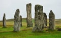 Scotland menhir 1 Royalty Free Stock Photo