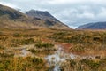 Scotland Peat Bog