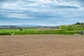 Scotland`s Ayrshire Farmlands with Treelined hedges and a Blue Sky with Shewalton Papermill in the far distance Royalty Free Stock Photo