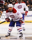 Scott Gomez Montreal Canadiens Royalty Free Stock Photo