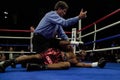 Scott Pemeberton knocked out by Jeff Lacy Royalty Free Stock Photo