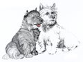 Scottie dogs illustration Royalty Free Stock Photo