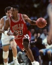 Scottie Pippen Royalty Free Stock Photo