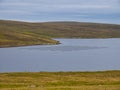 Scottish aquaculture - rope-grown mussel farming in Shetland, Scotland, UK Royalty Free Stock Photo