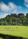 A Scottish castle and cow pasture Royalty Free Stock Photo