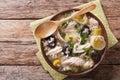 Scottish cock-a-leekie soup with leeks and prunes close up in a Royalty Free Stock Photo