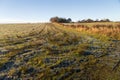 Scottish country life on a clear winter morning Royalty Free Stock Photo