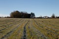 Scottish country life on a clear winter morning Royalty Free Stock Photo