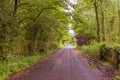 A Scottish Country road over grown with heavy tree foliage Royalty Free Stock Photo