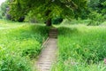 Scottish Country Walkway and some Steps