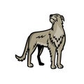 Scottish Deerhound Dog Standing Mascot