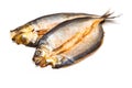 Scottish Dyed Smoked Kipper Fillets Royalty Free Stock Photo