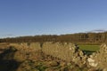 The Scottish East Coast Footpath at Johnshaven with a straight section of damaged Drystone wall