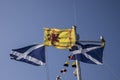 Scottish flags waving in the wind against clear blue summer sky Royalty Free Stock Photo