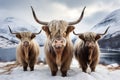 Scottish highlanders in winter landscape. Generative AI