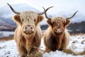 Scottish highlanders in winter landscape. Generative AI