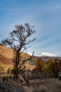 Scottish highlands, Argyll