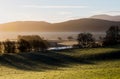Scottish hills in golden houres lights with mist and long trees Royalty Free Stock Photo