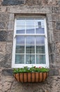 Scottish house window, with flower pot and reflections Royalty Free Stock Photo