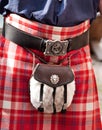 Scottish Kilt with shepherd purse Royalty Free Stock Photo