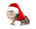 Scottish kitten with santa hat. isolated on white background Royalty Free Stock Photo