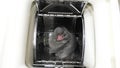 Scottish kitten sleeping in the washing machine, it looks with its head up Royalty Free Stock Photo