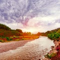 Scottish landscape scenery with violet heather flowers and shall Royalty Free Stock Photo